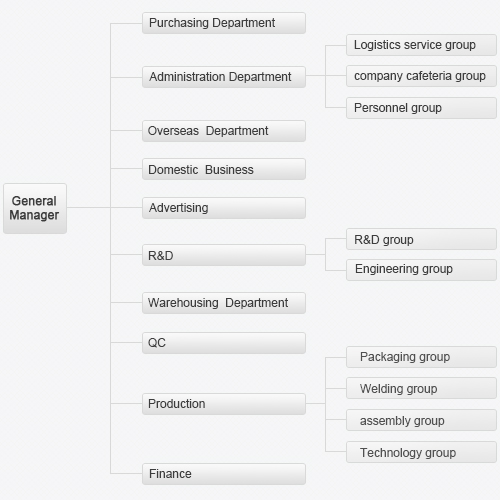 Organizational Structure